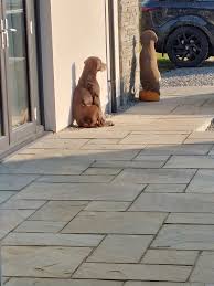 Hi! I'm new to this group. I recently joined because a distant cousin  shared a post from the site, and I liked the idea.