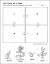 3rd Grade Plant Life Cycle Worksheet