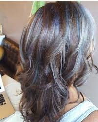 Chestnut hair with blue highlights. 50 Best Ideas Hair Silver Highlights Pastel Blue