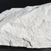 Buy diatomaceous earth products for pest control and insect control with free shipping and free expert advice at domyownpestcontrol.com, your diatomaceous earth is one of the safest dusts to use in the home with no chemical insecticides. 1
