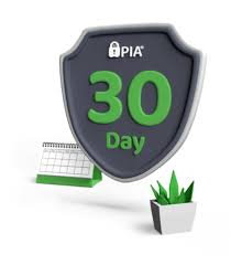 In this guide, we will help you fix no internet connection after connecting to vpn server. What Is A Vpn How Vpn Works Private Internet Access