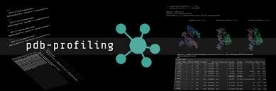 The worldwide pdb (wwpdb) organization manages the pdb archive and ensures that the pdb is freely and publicly available to the global community. Pdb Profiling Pypi