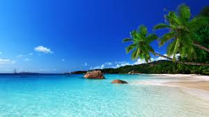 We did not find results for: Tropical Beach Landscape Wallpapers Top Free Tropical Beach Landscape Backgrounds Wallpaperaccess