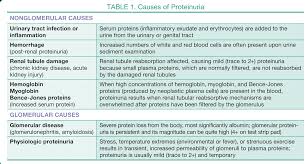 Urinalysis In Companion Animals Part 2 Evaluation Of Urine