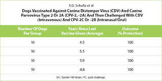 What Every Vet And Dog Owner Should Know About Vaccines