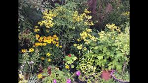 Ein problem ist allerdings bei diesen exoten die frostfreie überwinterung. Garten Mit Exoten Anfang August 2017 Youtube