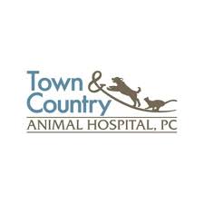 Our experienced veterinarian in madison al offers veterinary services for cats & dogs! 16 Best Huntsville Veterinarians Expertise Com