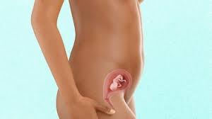 28 days (common year) 29 days (leap year). 16 Weeks Pregnant Belly Symptoms More