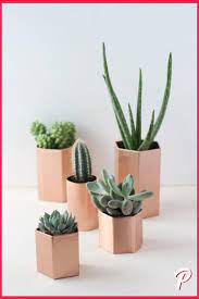 Queste piante, infatti, sono gli alleati perfetti per dare un tocco verde alla casa, sia che amiate il minimalismo zen giapponese, sia che preferiate dimore calde e rustiche, sia che. 10 Kunstlerische Diy Sukkulenten Und Diys Fai Da Te Piante Da Interno Crafting