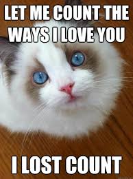 40 Best Romantic Love Memes To Special One Tailpic