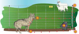 Check spelling or type a new query. How Electric Fence Netting Works Premier1supplies