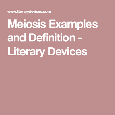 Meiosis Examples And Definition Literary Devices Literary Devices Sarcasm Examples Definitions