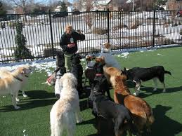 Bbb rating and accreditation information may be delayed up to a week. Advanced Animal Care Of Colorado 26 Photos 25 Reviews Veterinarians 1530 Riverside Ave Fort Collins Co United States Phone Number Yelp
