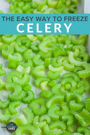 The Easy Way To Freeze Celery In 2020 How To Freeze Celery Frozen Celery