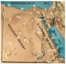 Image result for Plicosepalus amplexicaulis