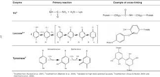 Structure of metastable liquids, nucleation, nucleation kinetics, crystallization, computer. Table 4 From Structure Modification Of Milk Protein Gels By Enzymatic Cross Linking Semantic Scholar