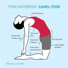 Pin On Yoga