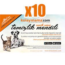 Onların da bizler gibi yemek yemek, barınmak, ilgi ve sevgi görmek gibi beklentileri bulunmaktadır. Tek Kullanimlik Evcil Hayvan Temizlik Mendili 10 Adet Hijyenik Mendiller Hijyenik Mendiller Temizlik Urunleri Temizlik Urunleri Kolaymama