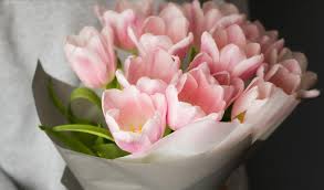 Choose from our wide array of exquisite flower arrangements and pair them with a bottle of fine, aged wine to create a gift that is as unique as its recipient. 25 Flower And Gift Delivery Options In Toronto For Mother S Day To Do Canada