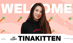 100 Thieves Signs Gamer/Artist Tina Kitten, First 'Apex Legends' Creator  NiceWigg - Tubefilter