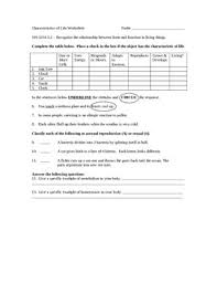 Circle the best answer for each of the following items. Characteristics Of Life Worksheet By Science Fun Tpt