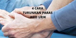 4 Cara Turunkan Paras Asid Urik Dalam Badan Mencegah Anda Dari Penyakit Gout Perkongsian Dalaman Wanita