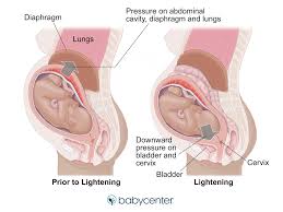 1 wk → 7 d. What Is Considered Full Term In Pregnancy Babycenter