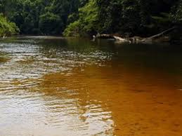 Looking how to get from pahang to taman negara? 3 Days Taman Negara Package Pahang Endemicguides