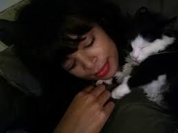 Ich musste zusehen, wie er meine Babykatze überfuhr und abhaute»