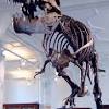 Alan grant may or may not have had some tussles with velociraptors after his initial. 1