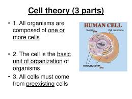 The carbohydrates are short polysaccharides composed of a variety of different monosaccharides, and form a cell coat or glycocalyx outside the cell membrane. Cell The Cell Is The Basic Unit Of Life They Make Up All Living Things Ppt Download