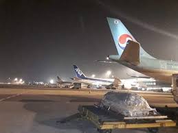 Chuyến xe đi về từ tân sơn nhất). Hinh áº£nh Linh Cá»¯u Cá»' Nghá»‡ SÄ© Chi Tai Náº±m Láº·ng Láº½ Trong Ä'em Khuya San Bay Tin Tá»©c Online