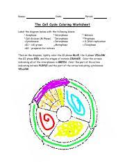 Read the directions below before coloring the mitosis diagram on the opposite side. Kami Export Cell Cycle Coloring 1 1 Name Date Period The Cell Cycle Coloring Worksheet Label The Diagram Below With The Following Labels 1 Course Hero