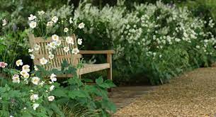 Japanese Anemone Nz Google Search Small Space Gardening Backyard Flowers Backyard Layout