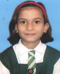 Amdi Nagar Vidya Niketan Higher Secondary School Hudco Bhilai Nagar