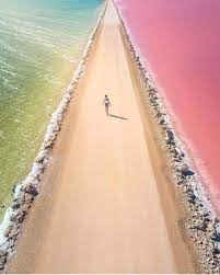 Australia is full of salt lakes but none can compare to lake macdonnell. Best Places To Go On Instagram Cactus Beach Australia Pic By Chloektodd Bestplacestogo For A Feature Places To Go Beach Photos Australia Beach