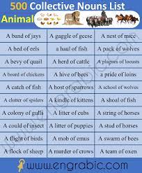 Collective Nouns For Animals Collective Nouns Nouns Learn English Vocabulary