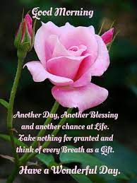  Good Morning Another Day Another Blessing Good Morning Morning Quotes Good Morning Quotes B Good Morning Images Flowers Morning Blessings Good Morning Quotes
