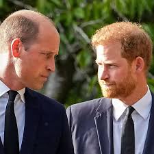 Prince Harry takes swipe at William's ...