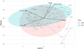 Image result for Oreophyton falcatum