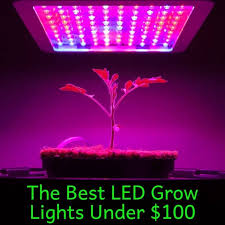 Equipped with a powerful cooling system to maintain the temperature inside the grow room. Best Led Grow Lights Under 100 Updated Jan 2021 Grow Light Info