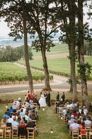 Image result for Bridelia duvigneaudii