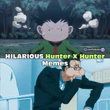 Your daily dose of fun! 35 Hilarious Hunter X Hunter Memes To Make Your Day Quote The Anime