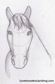 How do you draw a horse face? Draw A Horse Head The Final Steps