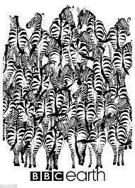 We did not find results for: Tebak Gambar Zebra Hitam Putih Tebak Gambar