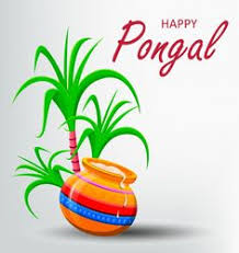 Send your heartiest best wishes for this festive occasion to your friends and other people. Get Latest Pongal Greeting Cards Ideas For Your Smartphones
