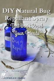 Diy Natural Bug Repellent Spray That Won T Repel Your Friends Bug Repellent Spray Natural Bug Repellent Diy Natural Products