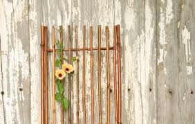 Check spelling or type a new query. Climbing Plants For Walls And Fences Plants For A Purpose Thompson Morgan