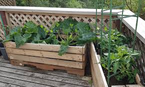 There are different ways to do about this. Make A Pallet Planter For Small Spaces Sustainability Trust Wellington
