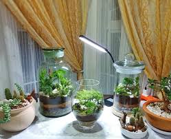 We did not find results for: Tanam Pokok Dalam Bekas Kaca Lagi Mudah Mak Mak Nak Jaga Comel Pun Comel Keluarga